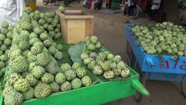 'Custard Apple | Indian Seasonal Fruits | Street Fruits in Rajahmundry'