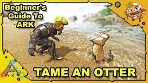 'How to Get Started in ARK - A Beginners Guide - How To Tame An Otter - Ark: Survival Evolved [S4E20]'