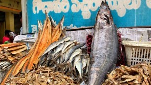 'Salted Dry Fish | Dry Prawns | Jampeta Fish Market | Rajahmundry | Street Food Zone'
