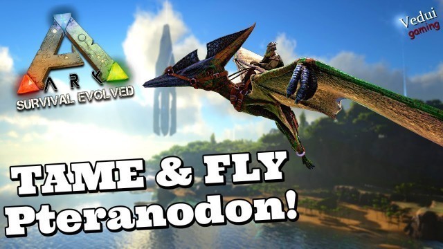 'ARK | EASY steps to Tame and Fly the Pteranodon + TIPS! @Vedui42 ✔️'