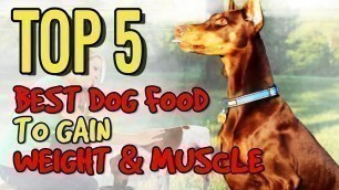 'BEST DOG FOOD TO GAIN WEIGHT AND  MUSCLE'