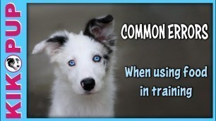 'Common Newbie Errors When Using Food to Train Dogs and Puppies'