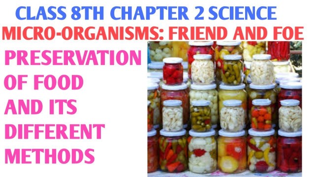 'Preservation of food class 8th in hindi | Preservation by common salt | Preservation by sugar'