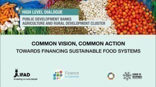 'High-Level Dialogue - Common vision, common action: Towards financing sustainable food systems'