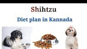 'Shihtzu diet plan in Kannada | ಷಿಜ್ಜು ಗಳಿಗೆ ಯಾವ ರೀತಿ ಆಹಾರ ಕೊಡಬೇಕು ಗೊತ್ತೆ ??? Hypoglycemia in dogs'