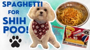 '3 INGREDIENT SPAGHETTI FOR DOGS | CANINE SPAGHETTI | HOMEMADE DOG FOOD #SHIHPOO #SHIHTZU #POODLE'