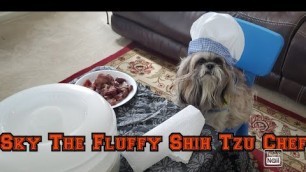 'How To Make Dehydrated Dog Treat Sky The Fluffy Shih Tzu Chef  #shihtzu#treat# #foodtaste#'