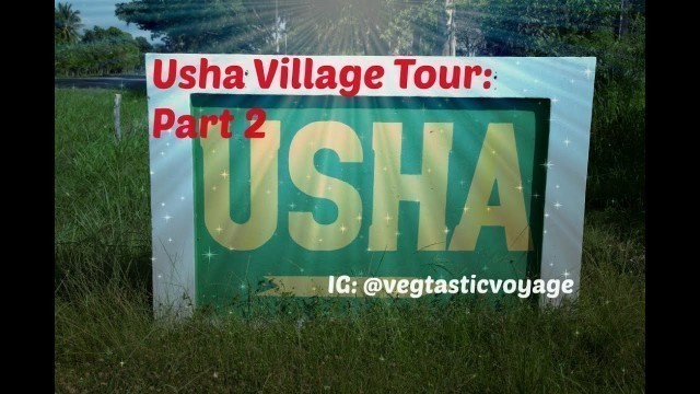 'Dr. Sebi Usha Village Tour: Part 2'