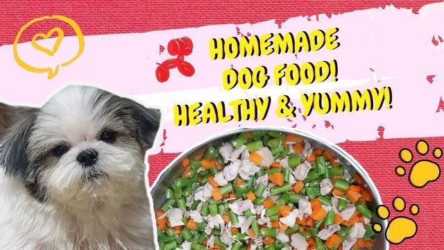 'Best Dog Food / Healthy Food for My Furbabies / Mama Mia / Vlog 040'