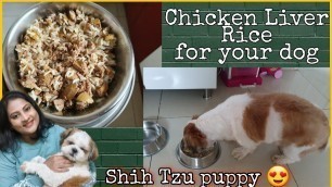 'Chicken liver rice for your dog | How to  cook chicken liver for your puppy chocolate Shih Tzu puppy'