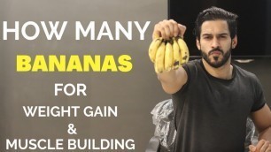 'How Many BANANAS For Weight Gain/Muscle Building'
