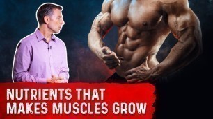 'Key Muscle Nutrition For Building Muscle – Dr.Berg on Muscle Growth'