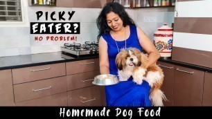 'Homemade Dog\'s Food | Dog Food Recipe | Shih Tzu | Budget Friendly | Picky Eater | Nandu\'s Kitchen'