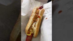 'I tried the best New York hot dog'