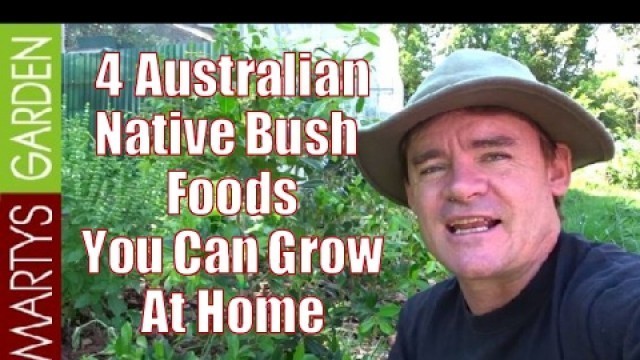 '4 Australian Native Bush Foods You Can Grow at Home'