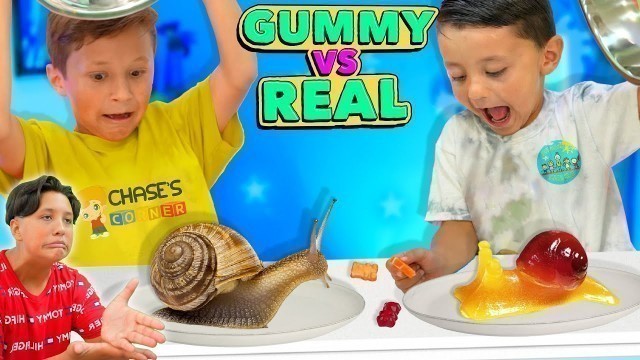 'GUMMY vs REAL 2021!  Shawn vs Chase Face-Off   | DOH MUCH FUN (Chase\'s Corner/Shawn\'s Circle)'