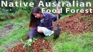 'Planting the Native Australian Food Forest on our homestead'