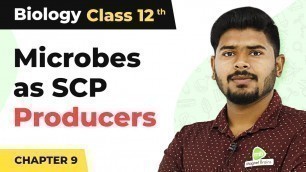 'Some Common Microbes as SCP Producers - Strategies for Enhancement in Food Production | Class 12'