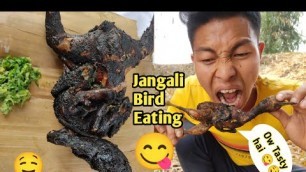 'Eating Wild Bird||Jangali Style||Man Vs Wild||Bird Food||Biswajit\'s Life'
