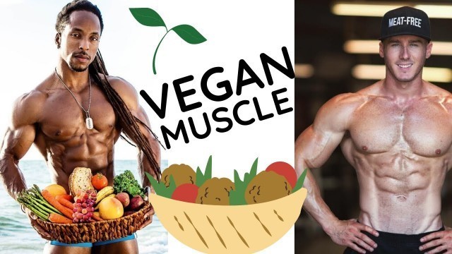 'HOW TO BUILD MUSCLE AS A VEGAN & 5 Reasons Why People Can\'t Build Muscle On A Plant Based Diet'