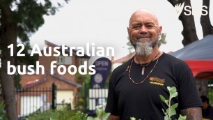 '12 Australian bushfoods you may not know about | SBS Food'