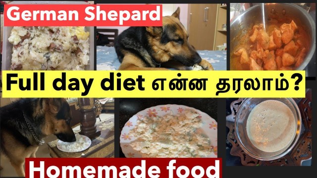 'German shepherds diet plan | pet tamil vlog | homemade  food for dog| pet care tips| #mahabepositive'