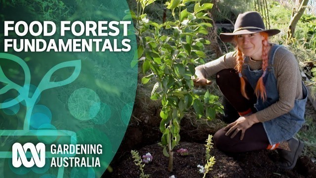 'Food forest fundamentals | Urban farming | Gardening Australia'