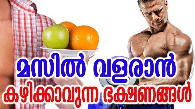 'മസിൽ വളരാൻ കഴിക്കാവുന്ന ഭക്ഷണങ്ങൾ | Best foods for muscle growth |  Muscle-Building Foods Tips'