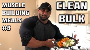 'MUSCLE BUILDING MEALS #3 - 672 Cal Clean Bulking Meal!'