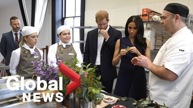 'Prince Harry and Meghan Markle get a taste of native Australian food'