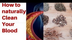 'DETOX YOUR BLOOD: HOW to NATURALLY CLEAN YOUR BLOOD USING DR.SEBI APPROVED HERBS!'