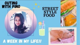 'A Week in my life |street food, outing with Pino, Netflix Recommendations  & more |Eat Live and Love'
