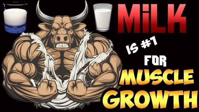 'WHY MILK IS THE #1 MUSCLE BUILDING FOOD EVER || FULL BODY WORKOUTS + NUCLEUS OVERLOAD + MILK = GAINS'