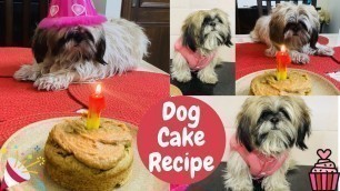 'Dog Cake | Dog\'s Birthday Celebration | Shih Tzu Puppy | Foodgasm'