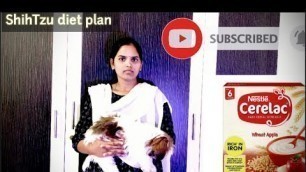 'ShihTzu Puppy diet plan in Telugu | Basic info | ShihTzu breed'