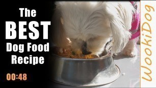 'The Best Small Dog Food Recipe : Wookidog [Maltese Shih Tzu mix] #Shorts'