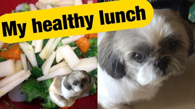 'My Shihtzu\'s healthy lunch for the day (vegetables with apples)'