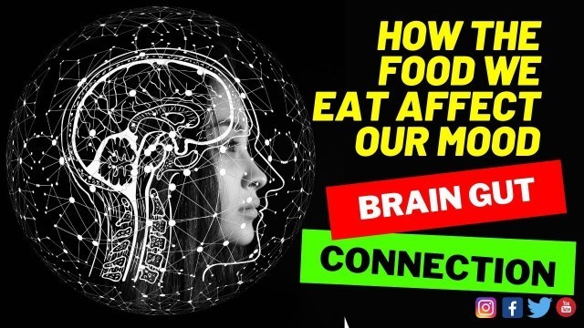 'How Food Affect Our Mood  |  FOOD BRAIN GUT CONNECTION'