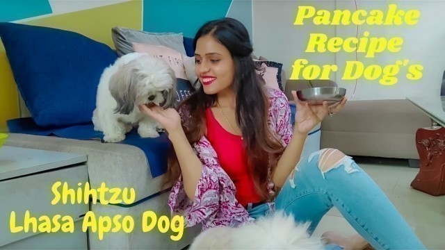 'DOG FOOD | PANCAKE RECIPE FOR DOGS  | SHIH TZU | LHASA APSO DOG'