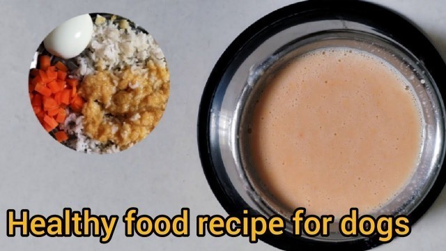 'Homemade healthy food recipe for puppy/Dog in tamil | Labrador puppy diet in tamil |'