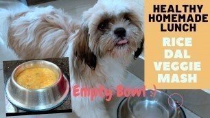 'Rice-Dal-Veggie Mash | Easy Homemade Lunch | 5 Month Old Shih Tzu Puppy'