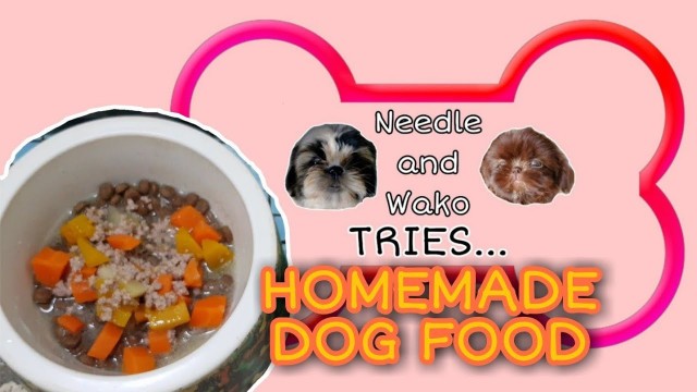 'NEEDLE & WAKO TRIES... HOMEMADE DOG FOOD 