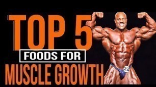 '[HINDI]TOP 5 MUSCLE BUILDING FOOD | HOW TO BUILD MUSCLES'