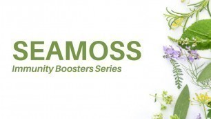 'Seamoss Benefits - Immunity Booster Series Sea Moss (Dr. Sebi Alkaline Diet)'