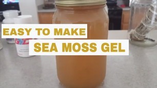 'How to make SEAMOSS GEL | IRISH MOSS for Wellness (Dr Sebi alkaline diet)'