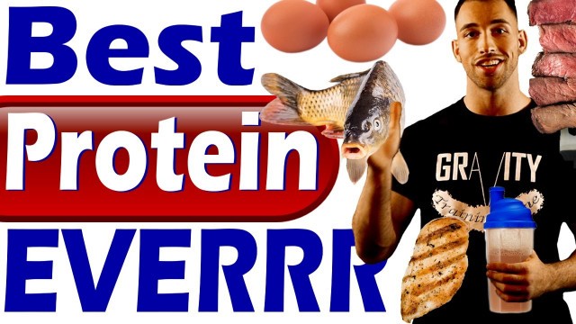 'Best Protein to Lose Weight, Build Muscle, & Get Lean & Ripped Foods to eat to Burn Belly fat weight'