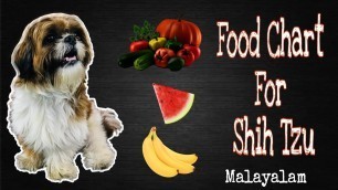 'Shih Tzu\'s Food Recommendations || Malayalam @Pournami Sreejith'